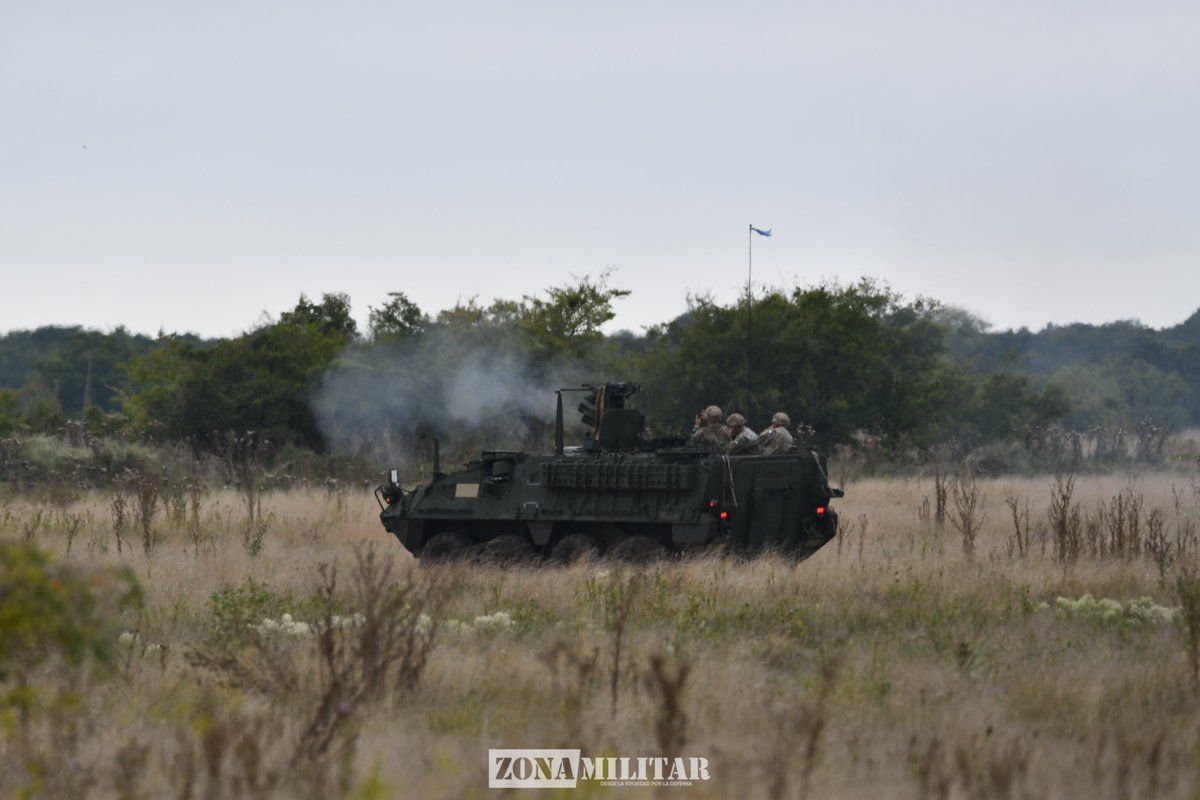 Zona Militar tweet media