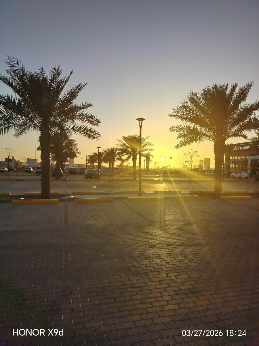 فتاة المراعي💜 tweet media