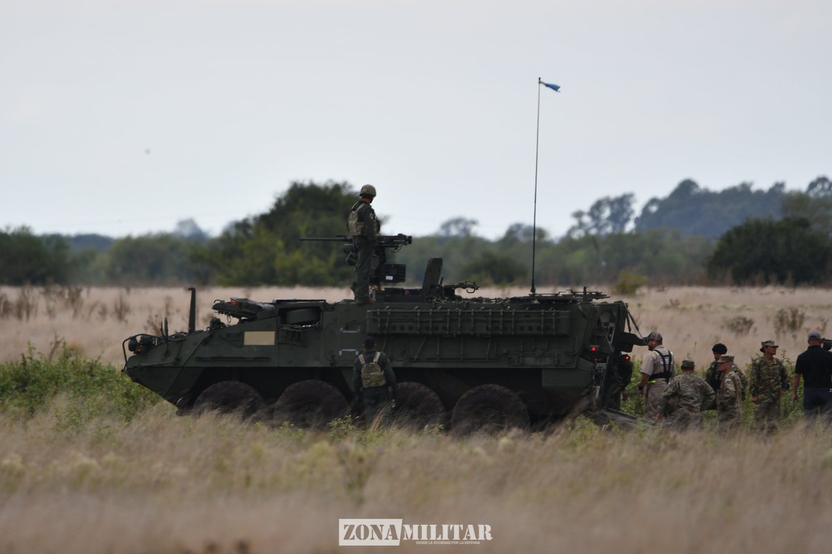 Zona Militar tweet media