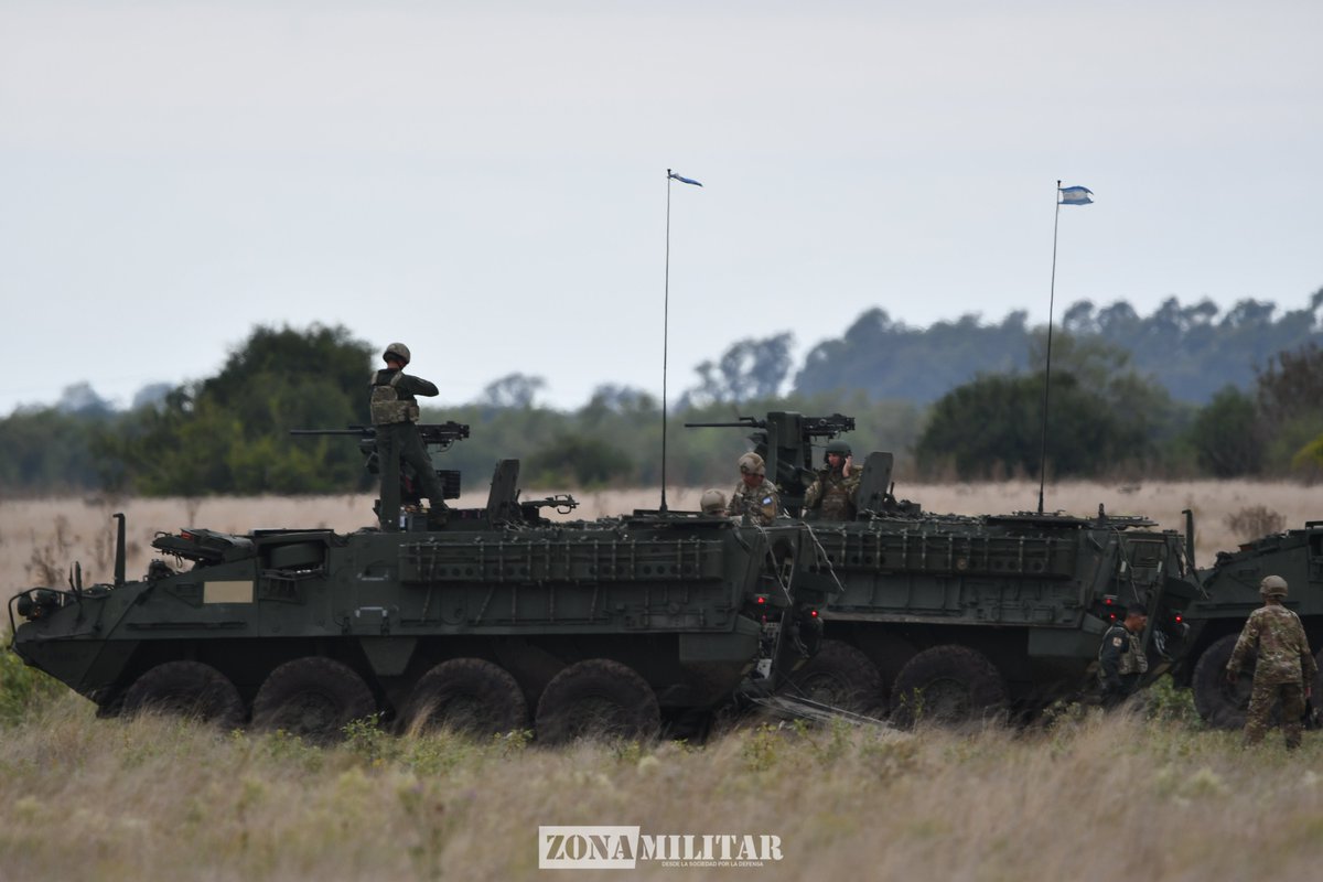 Zona Militar tweet media