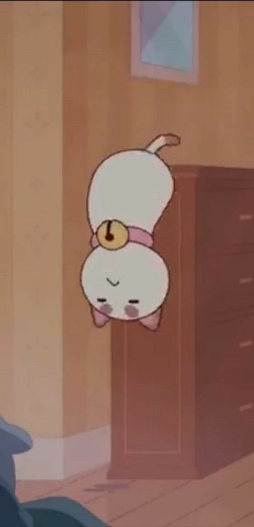 𝘗𝘶𝘱𝘱𝘺𝘤𝘢𝘵 .ᐟ☆彡 tweet media