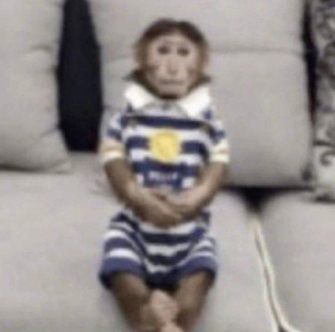 nico ariranguiado 🪭 tweet media