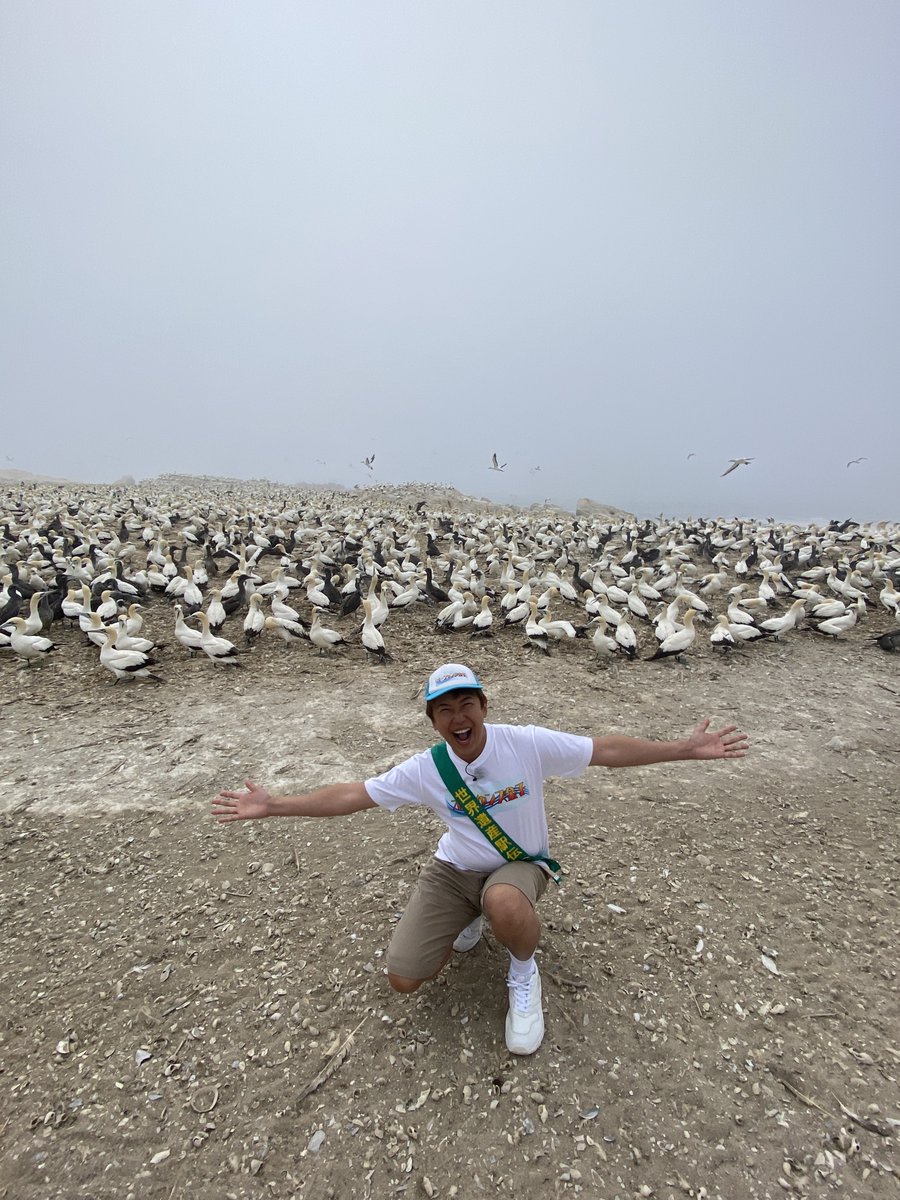 世界の果てまでイッテQ！ tweet media