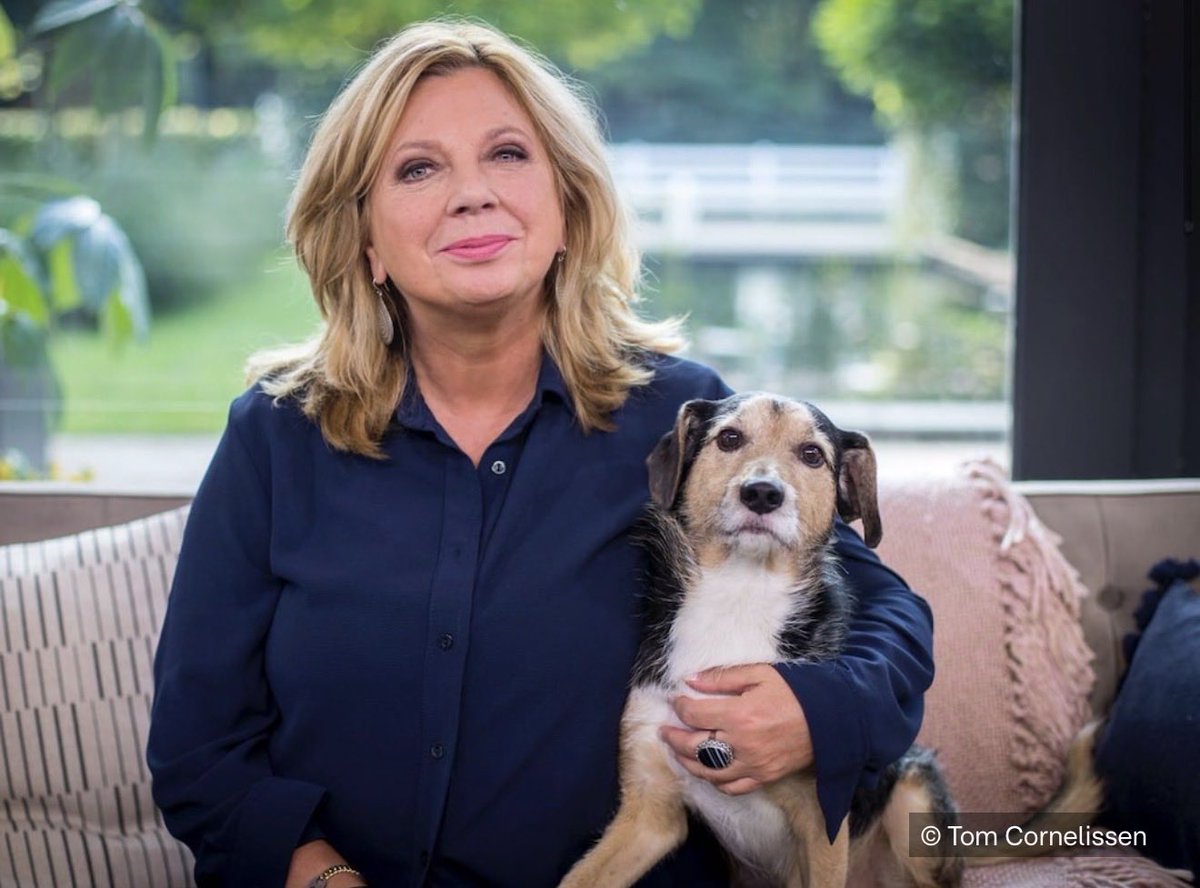 Aran Bade tweet media