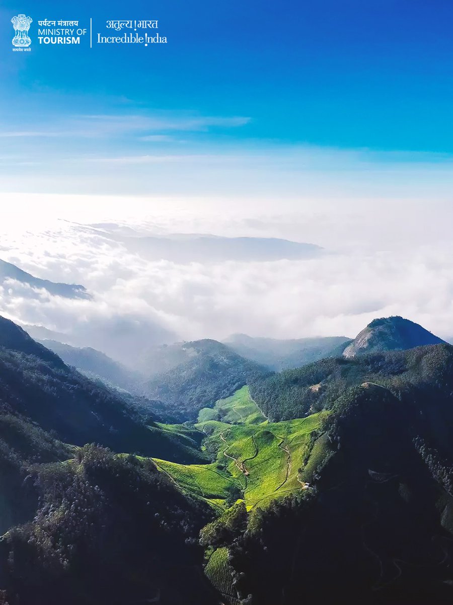 Incredible!ndia tweet media