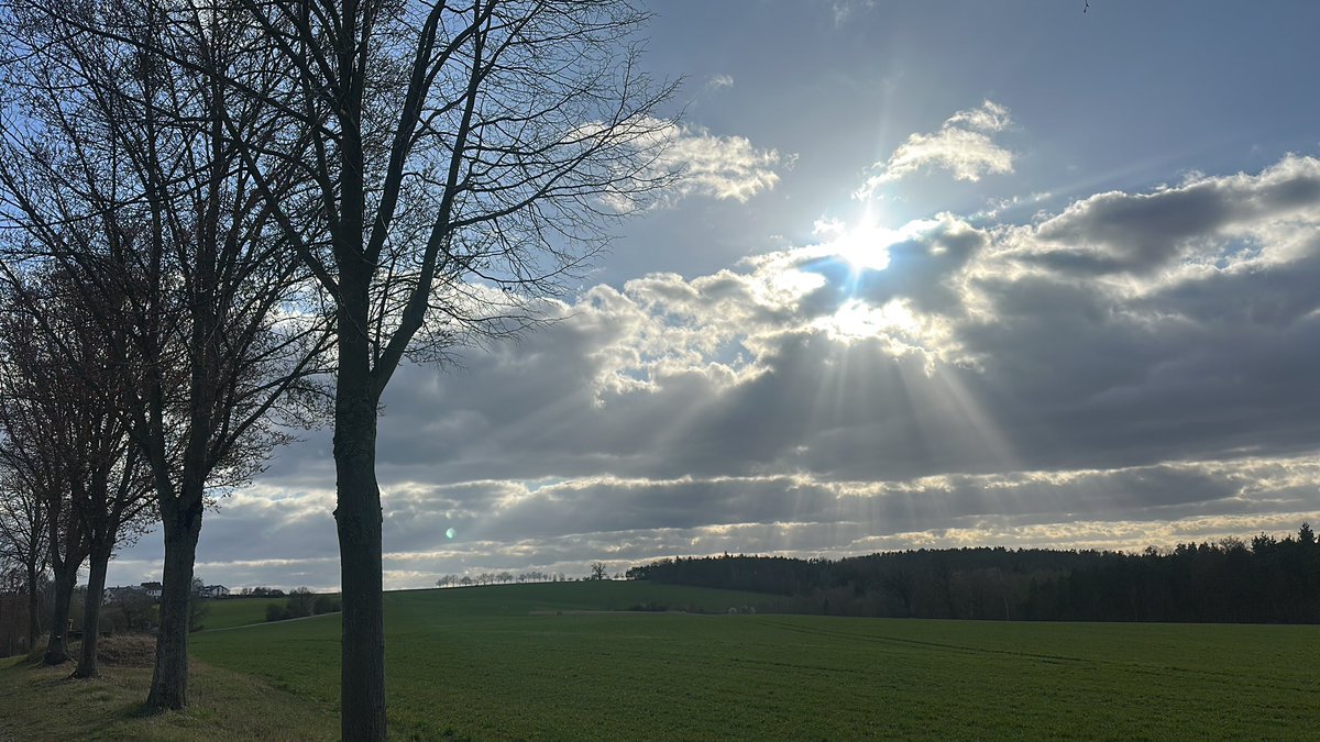 frank pdx tweet media