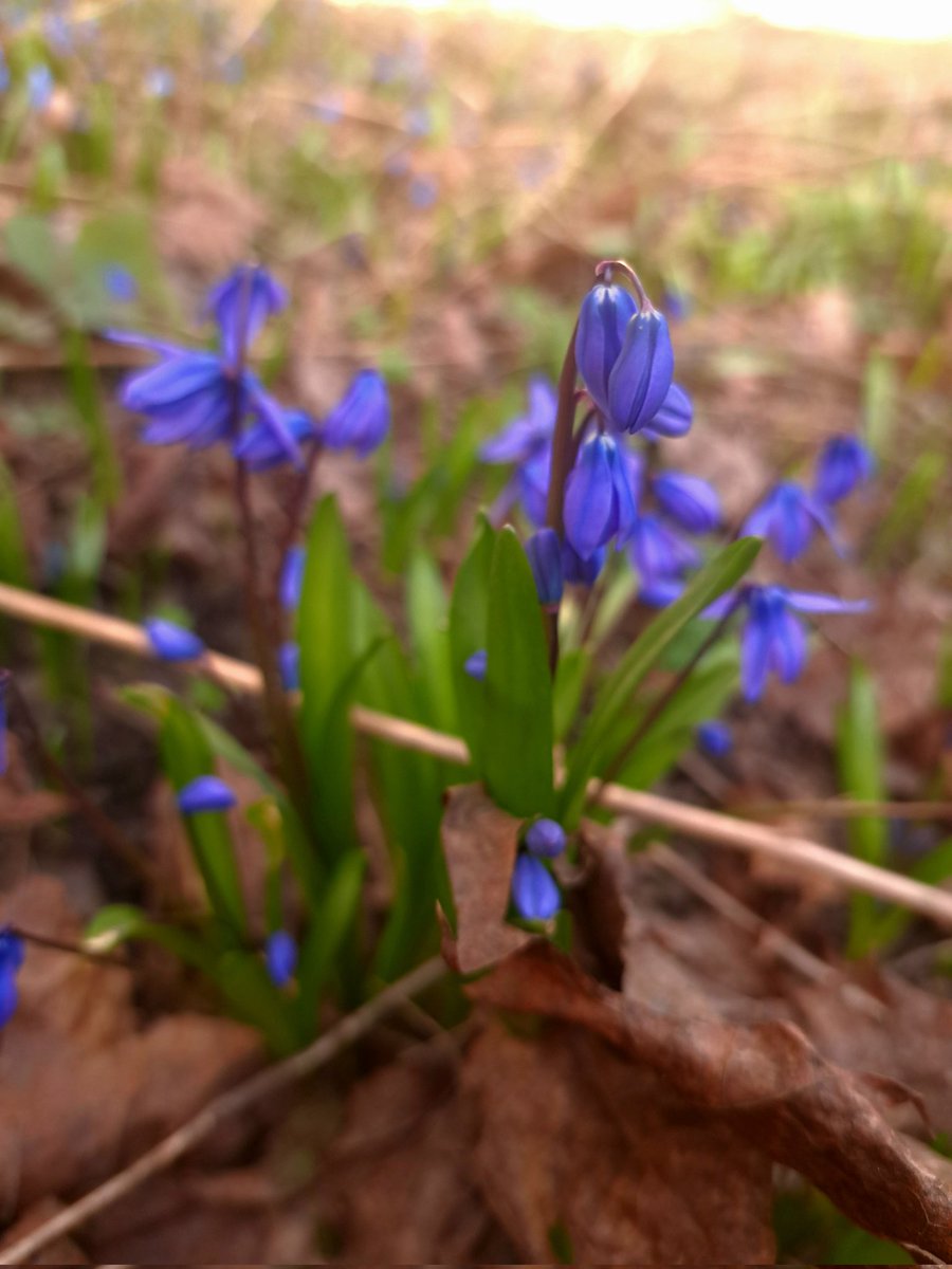 полночь🌙 tweet media