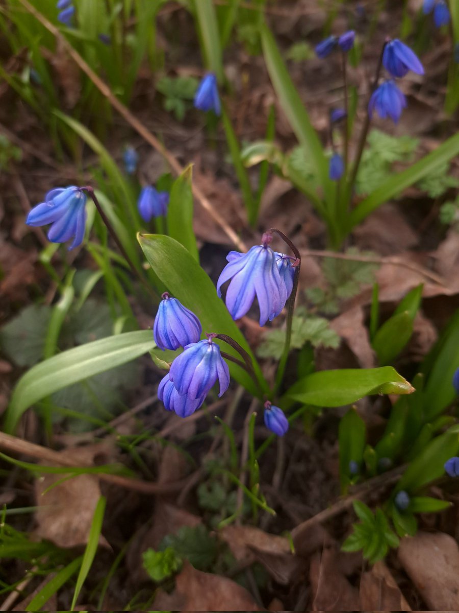 полночь🌙 tweet media