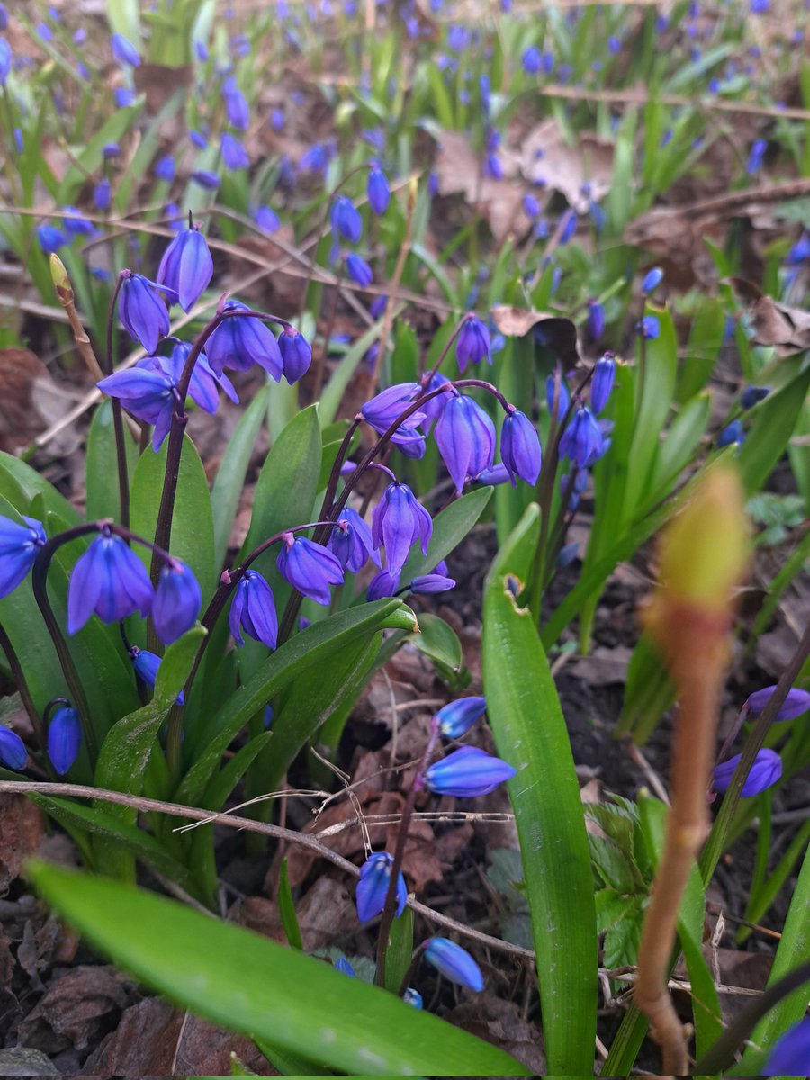 полночь🌙 tweet media