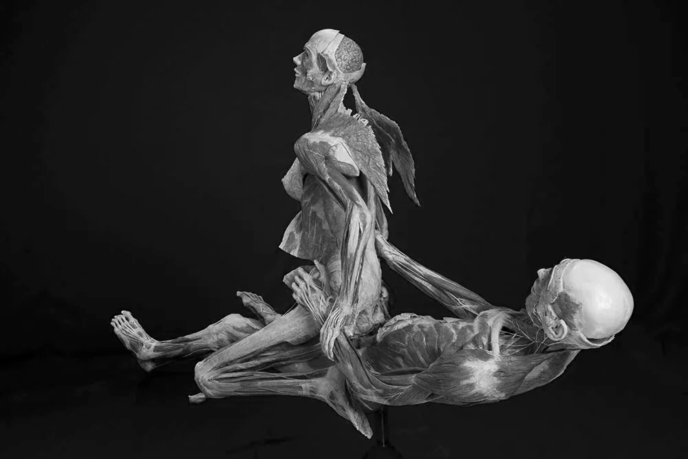 Sirenqualia tweet media