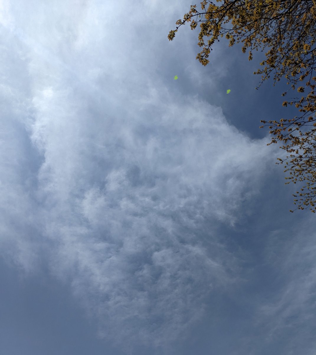 cloudWizard9 tweet media