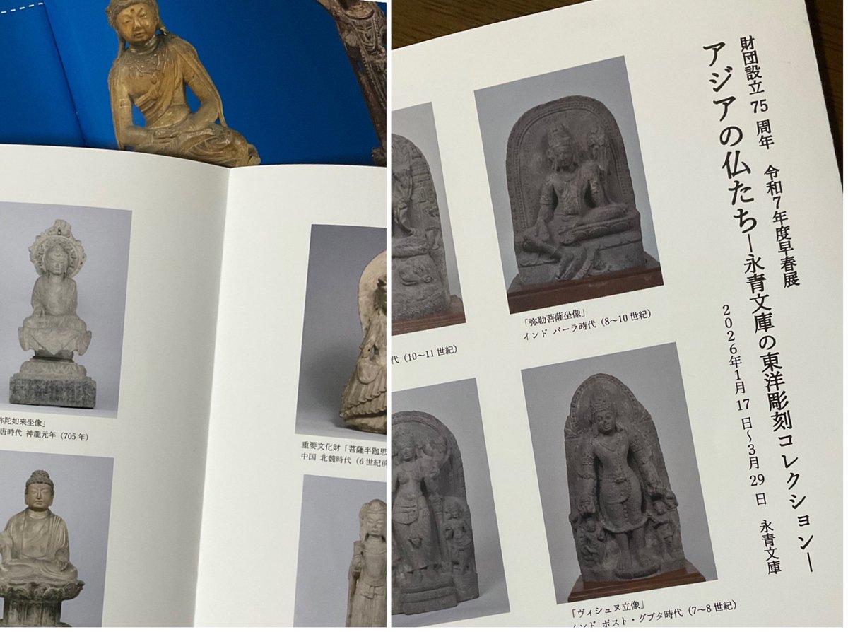 鴨つけ汁蕎麦 tweet media