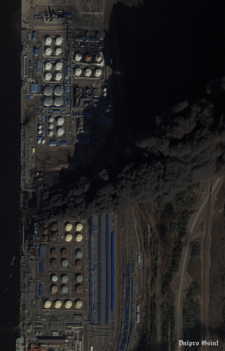 (((Tendar))) tweet media