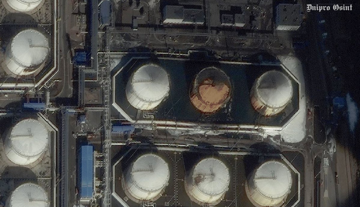 (((Tendar))) tweet media