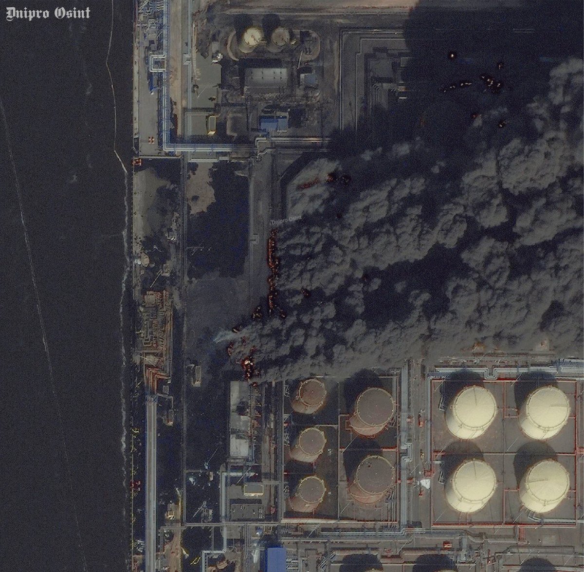 (((Tendar))) tweet media