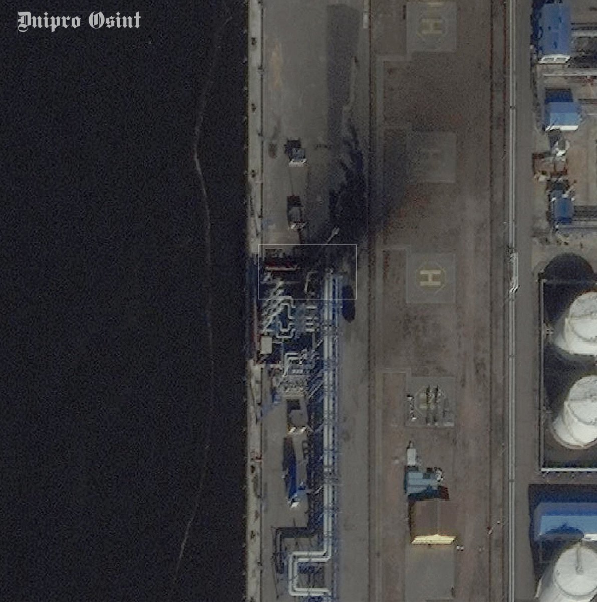 (((Tendar))) tweet media