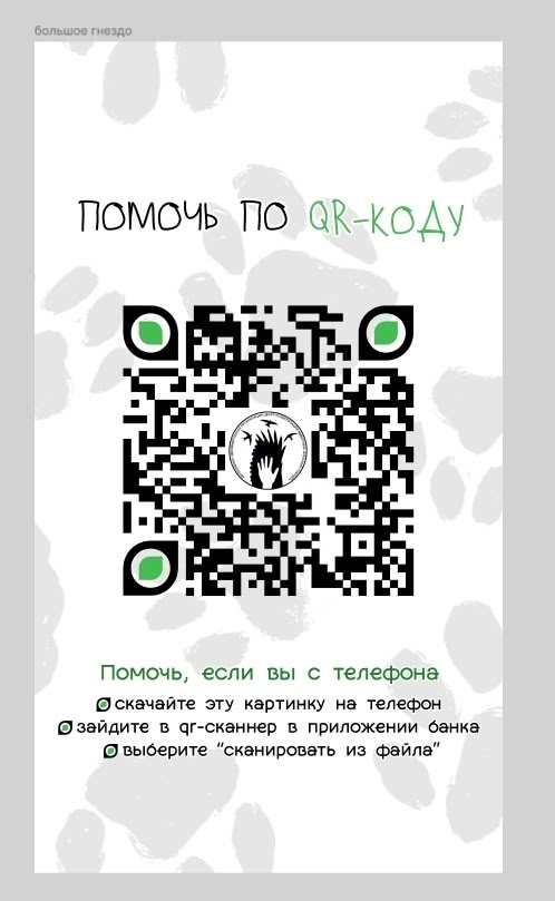 Кэналлийский Енот 🦝🍷🗡️ tweet media