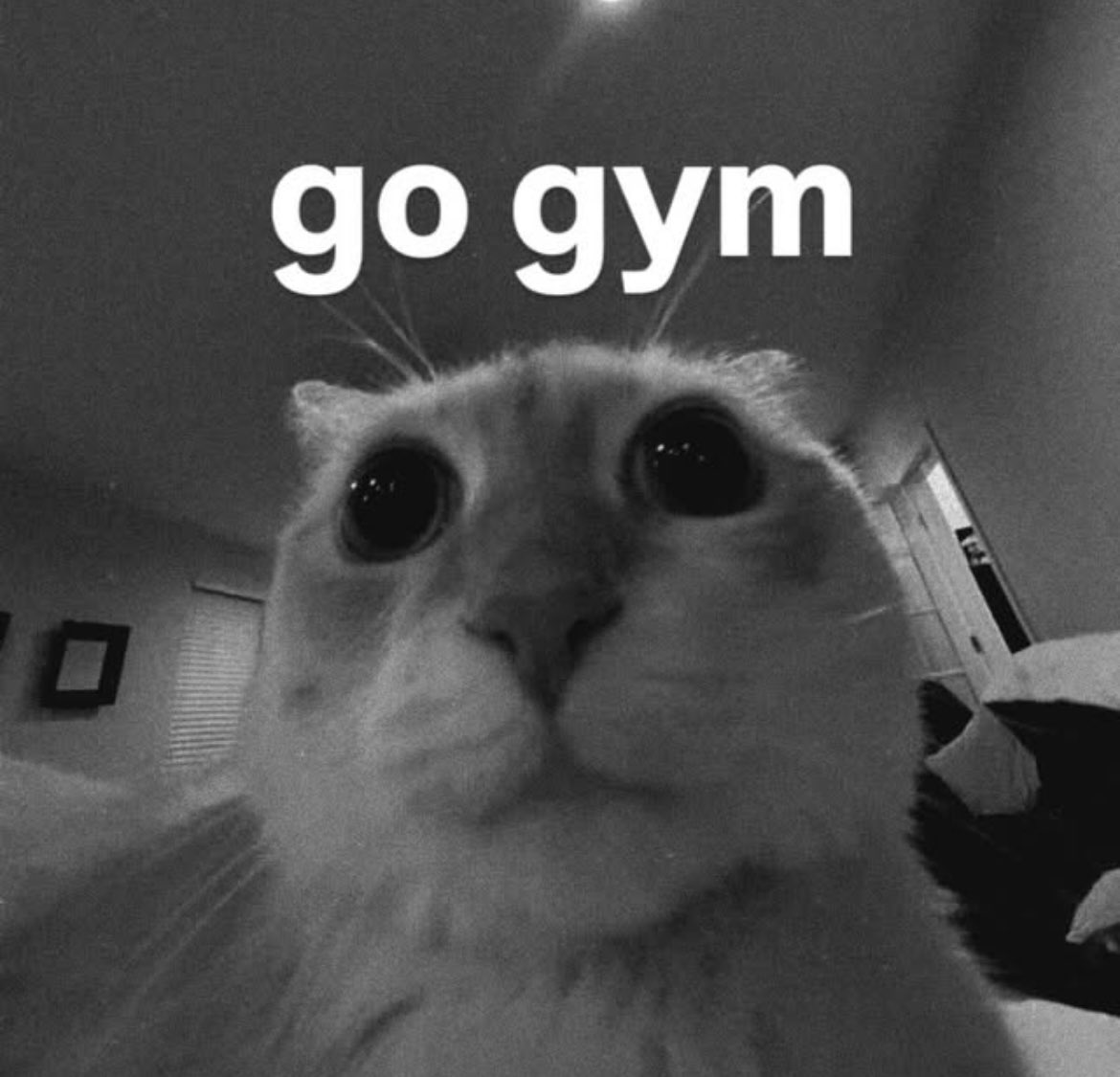 Billioneur tweet media