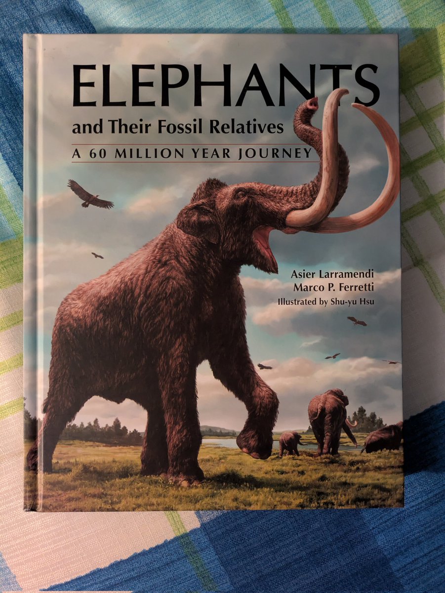 Darío Estraviz López tweet media