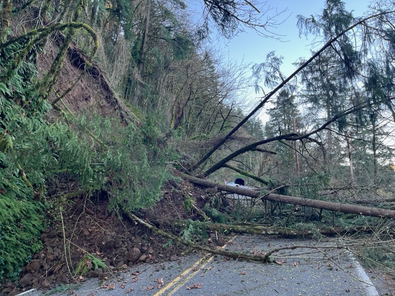 Portland Bureau of Transportation tweet media