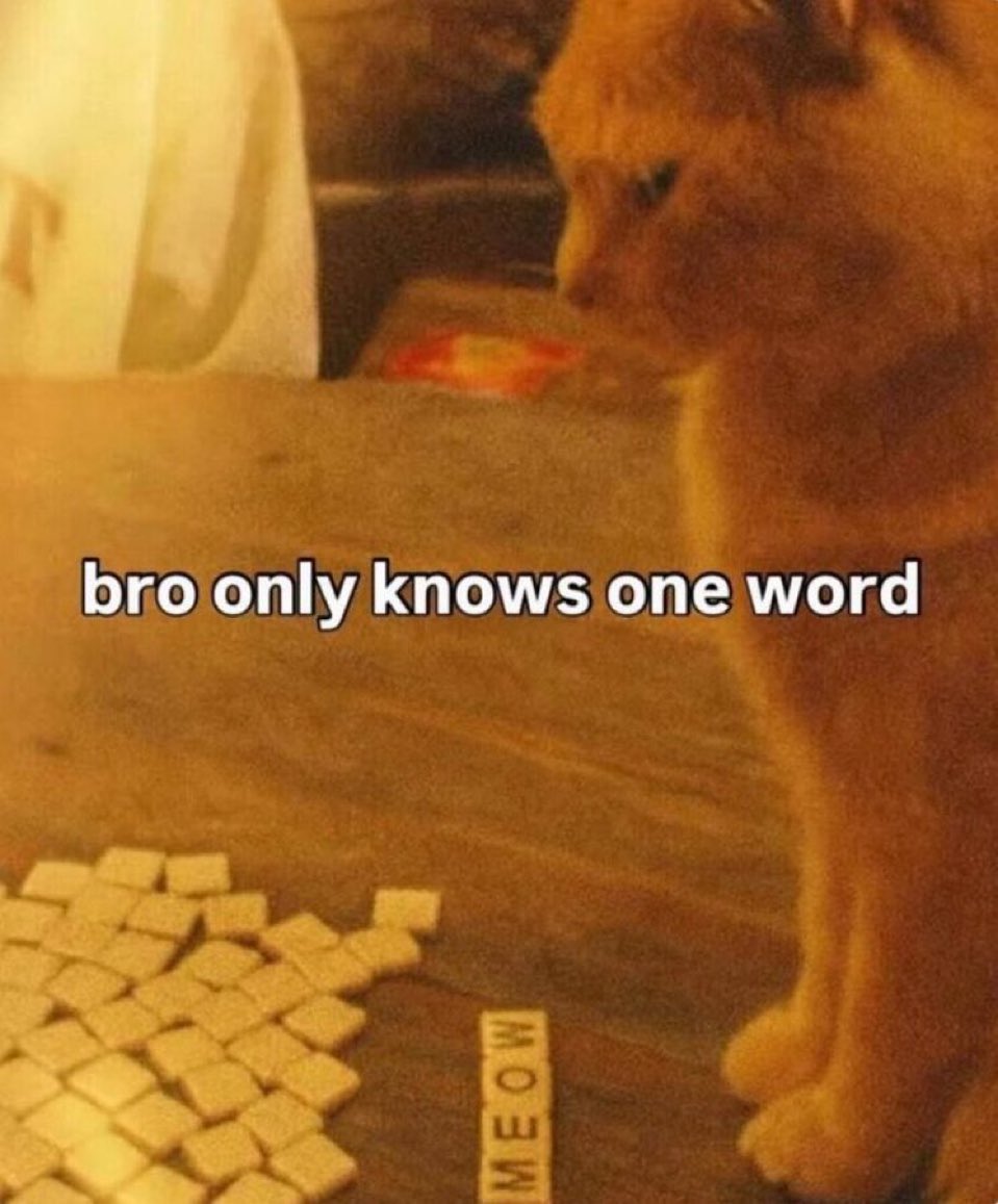 insane internet posts tweet media