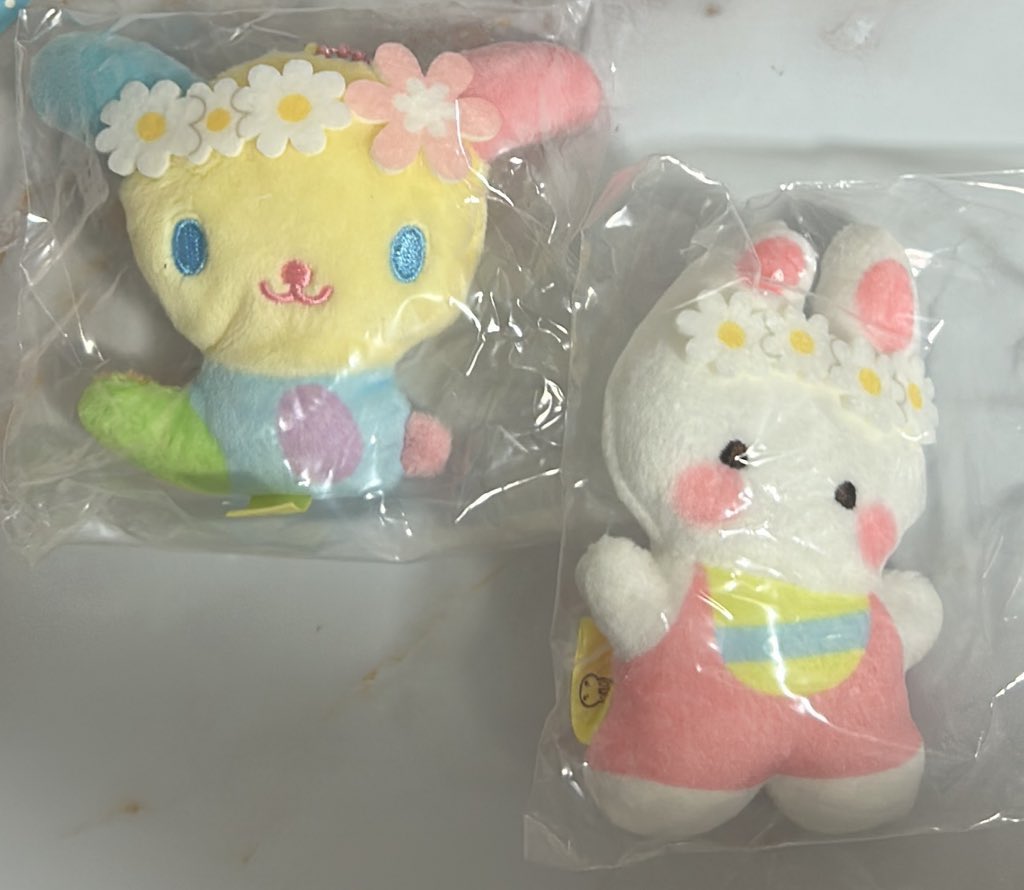 蘭（難しい場合♡） tweet media