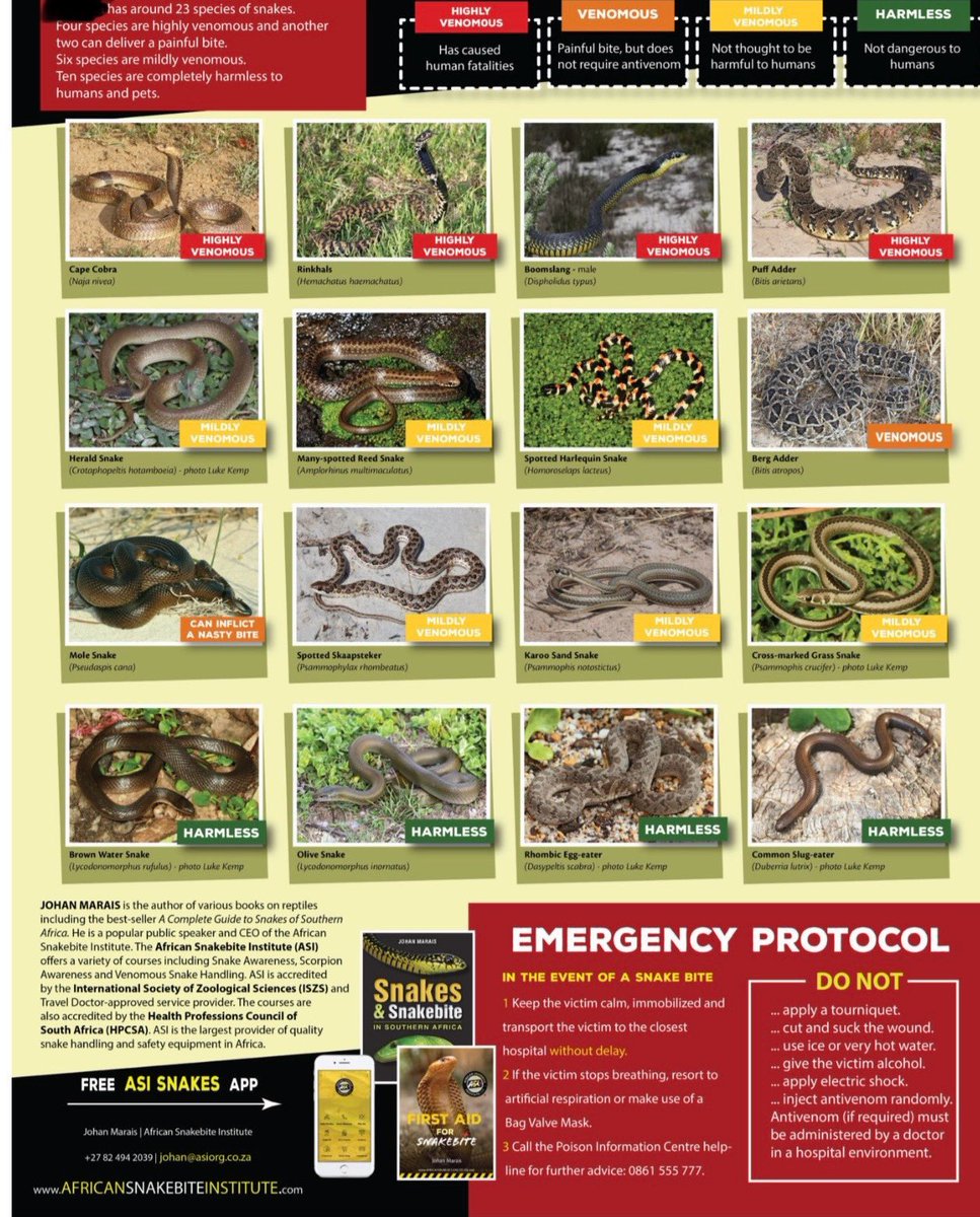 Ros Goldin tweet media