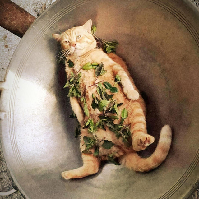 Buckeye Adventures tweet media