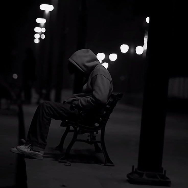 Max Pluto tweet media