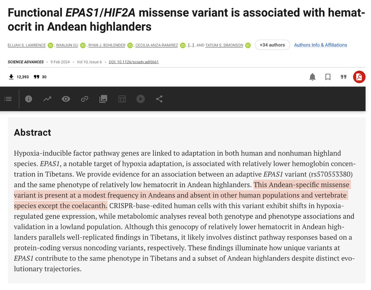N. Delgado (Mid Castizo) tweet media