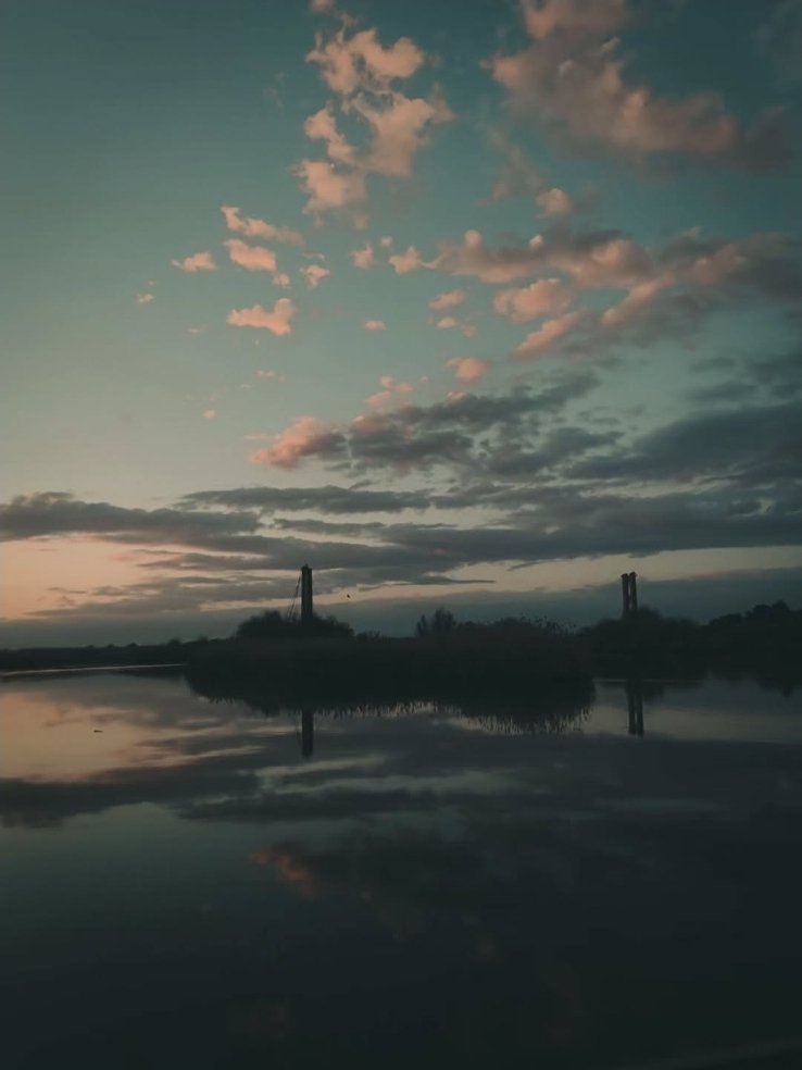 حذيفة'🇸🇾 tweet media