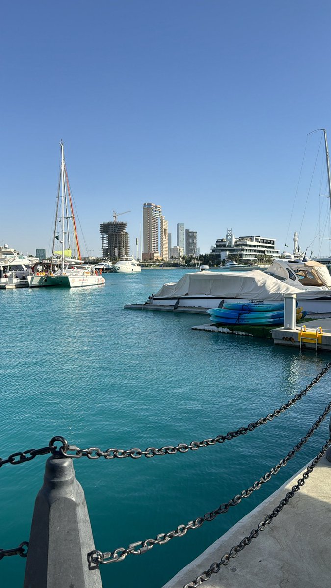 TIX 🩺 tweet media