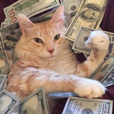 eric_42066's tweet photo. Nope, not today https://t.co/4Z23j7HDoR
