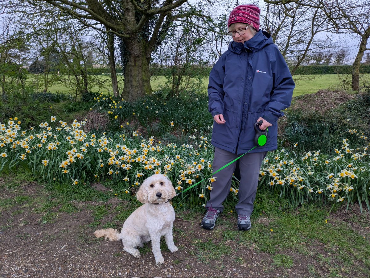 Martin Gathercole🐦X🐦 tweet media