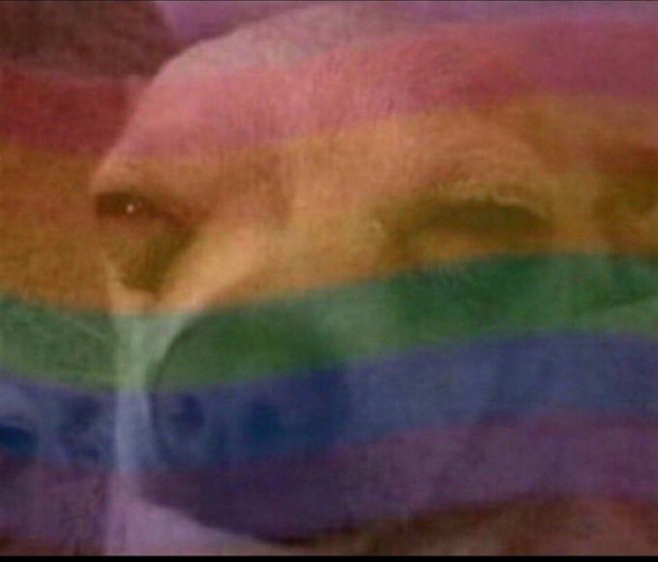 Ayo 💗💐 tweet media