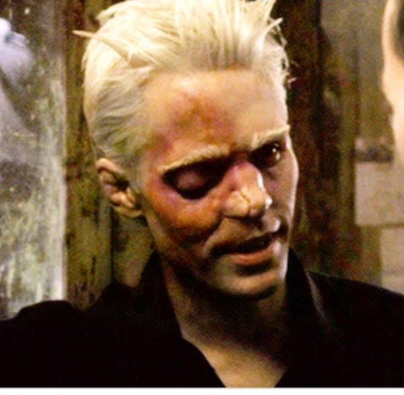 Paulie Walnuts Forever tweet media