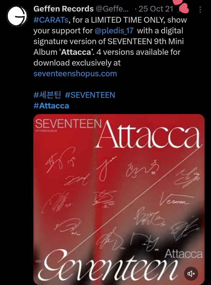 🍓🍒🐈⬛ tweet media