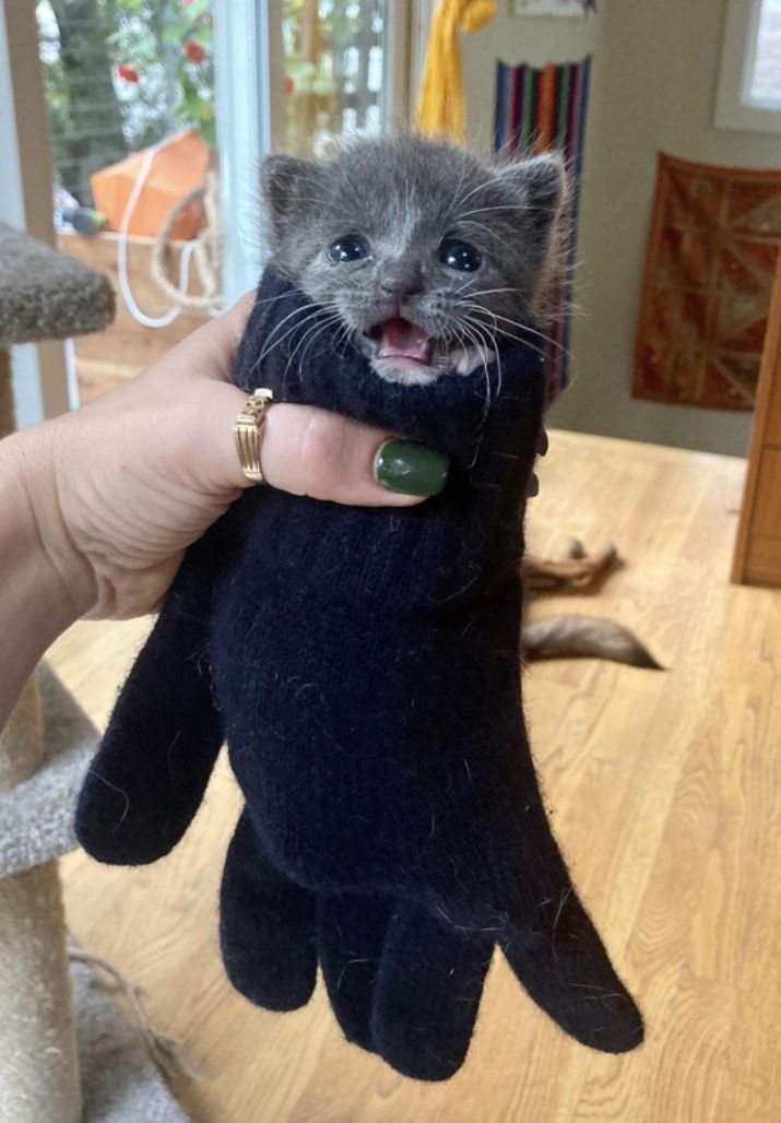 💖 James tweet media