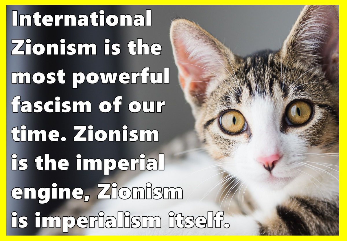 MartinPrejety tweet media