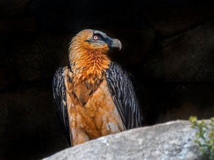 Ⓥ Thierry 😐 tweet media