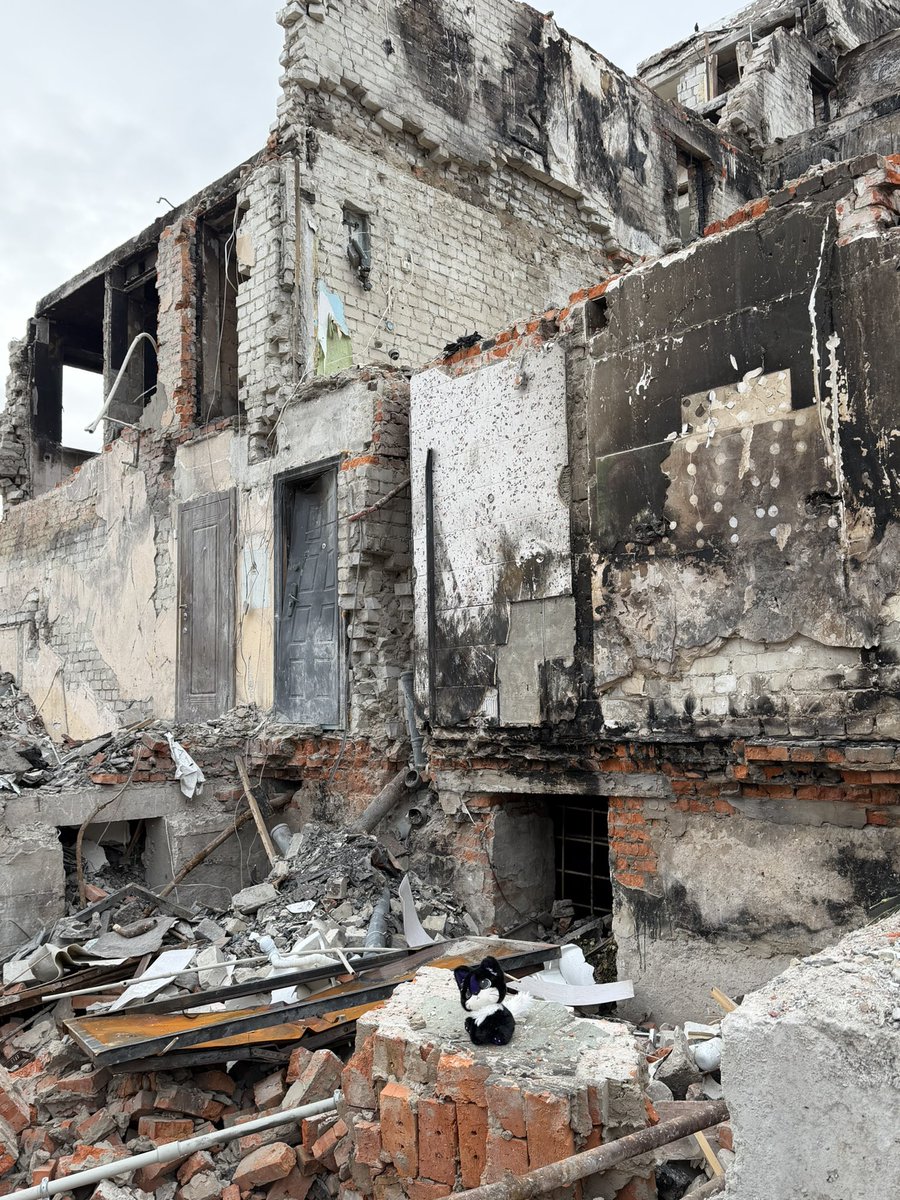 Nate Mook tweet media