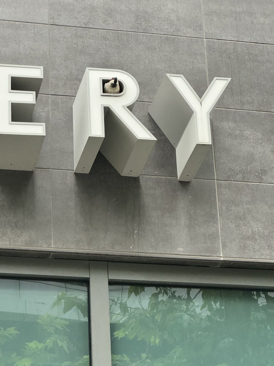 Missy Martinez tweet media