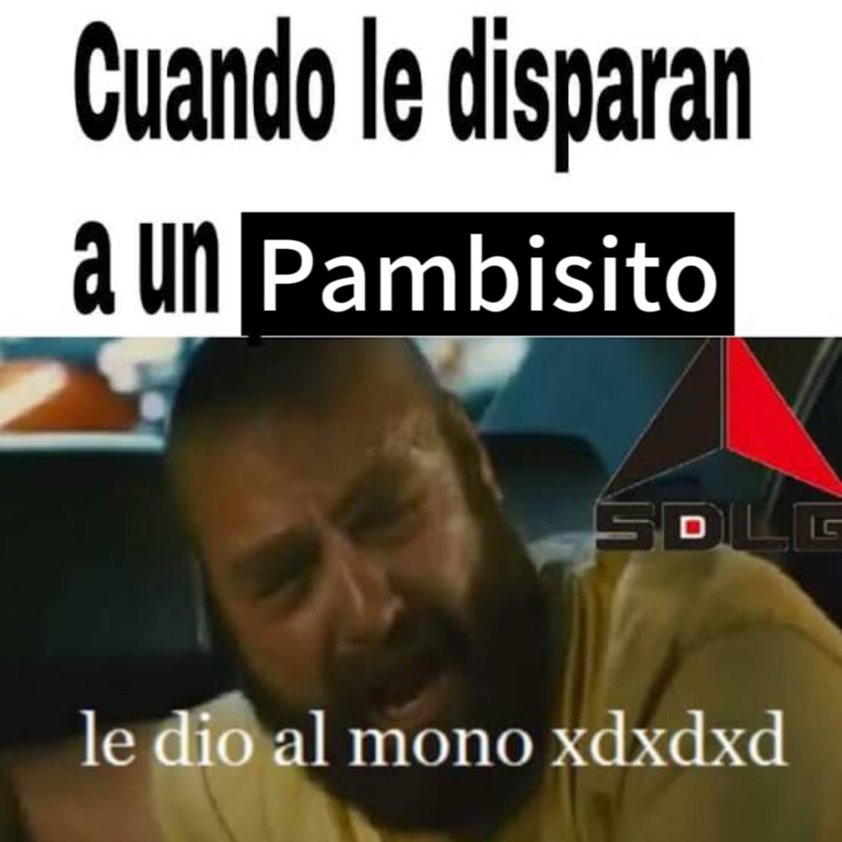 PaddyVIP tweet media