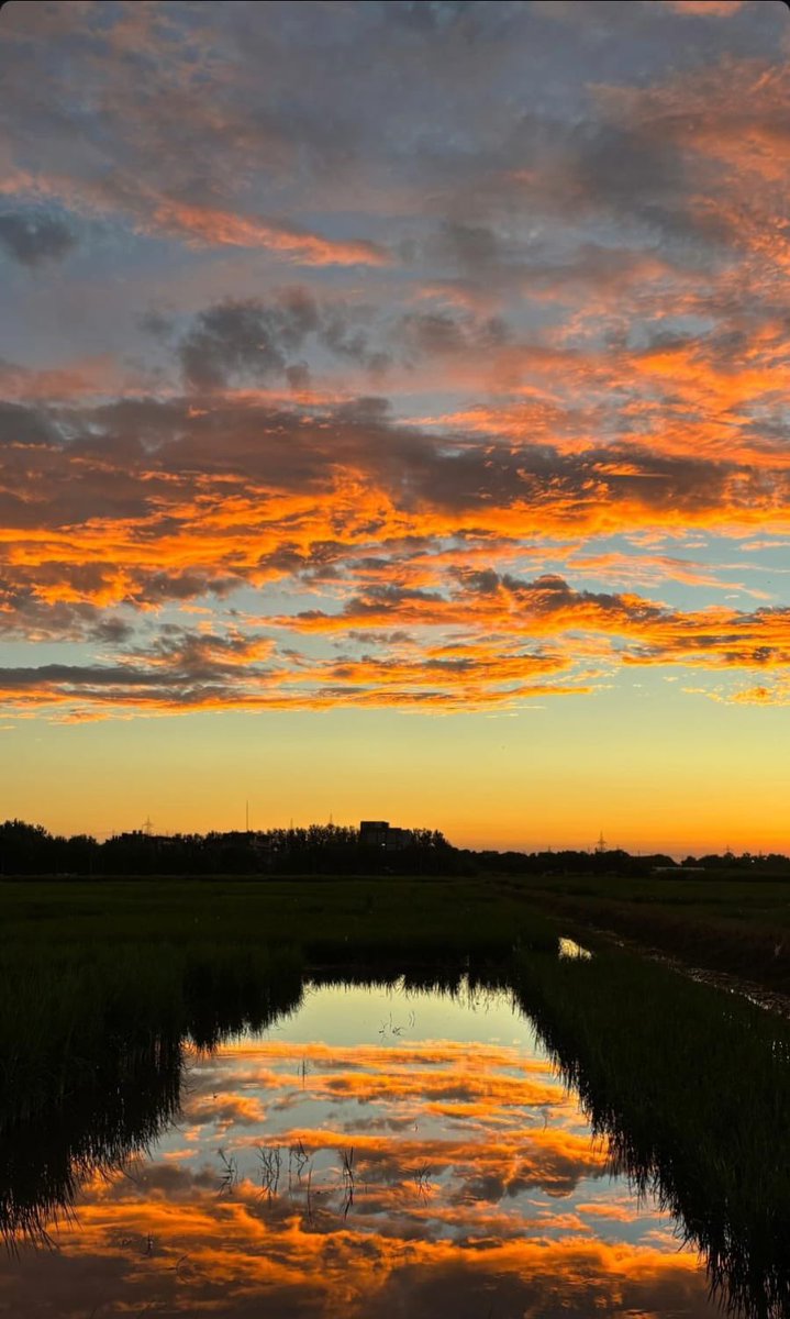 birterapi tweet media