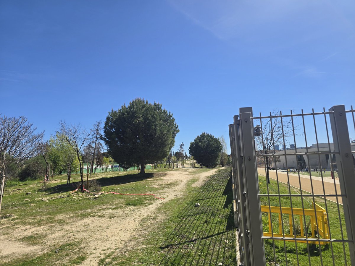 NOMEGACANTON tweet media