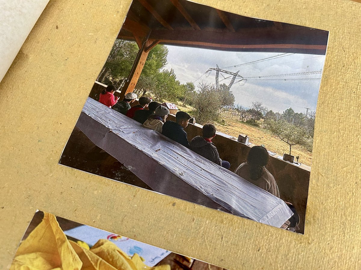 Ministerio de Juventud e Infancia tweet media