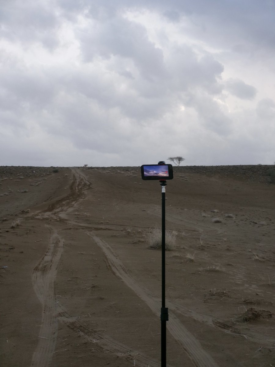 🍂🔕 tweet media