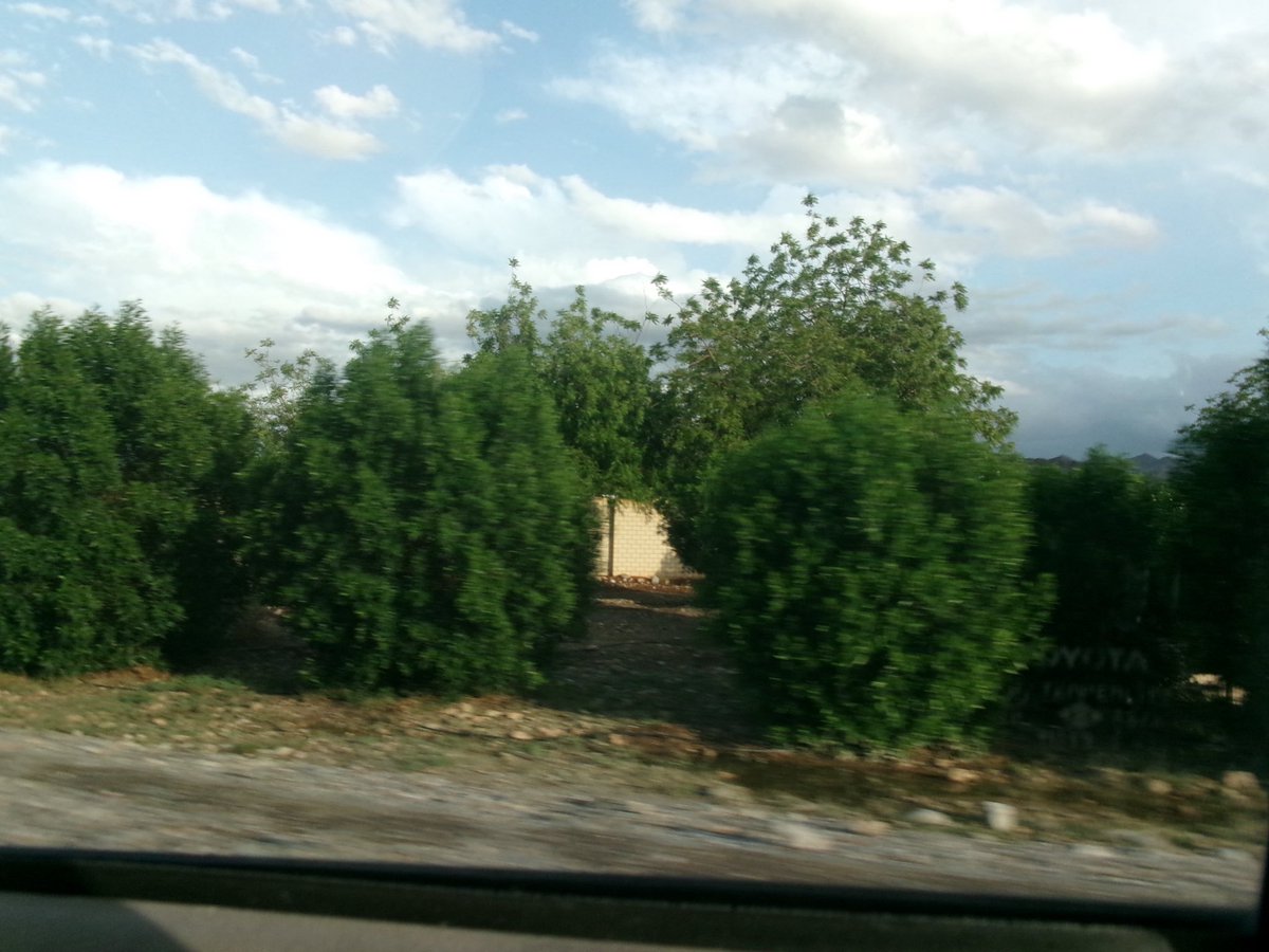 🍂🔕 tweet media