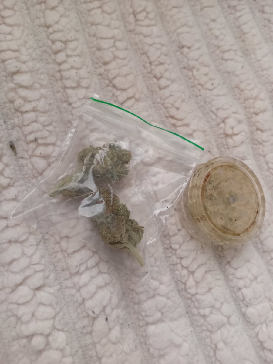 Daniel Dickie Bird tweet media