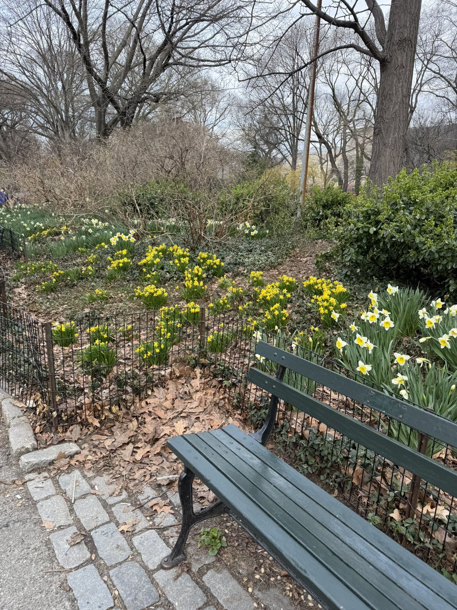 larrydavidsghostwriter tweet media